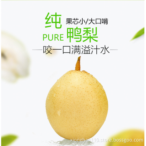 Fresh Ya Pear/ Chinese Pear/ Asian Pear